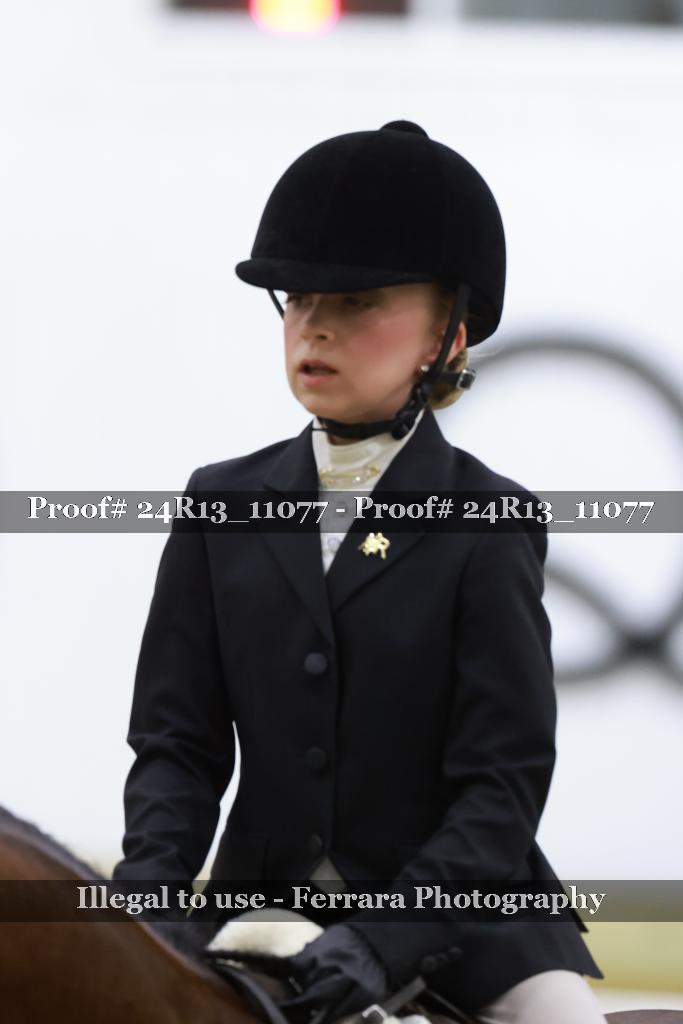 Proof 24R13_11077