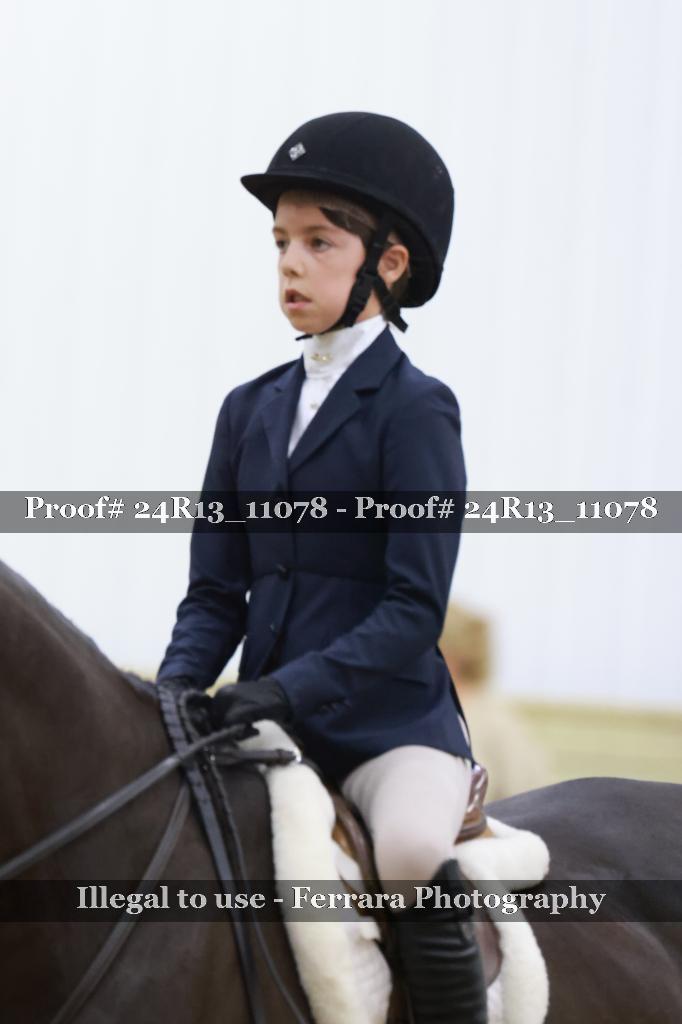 Proof 24R13_11078