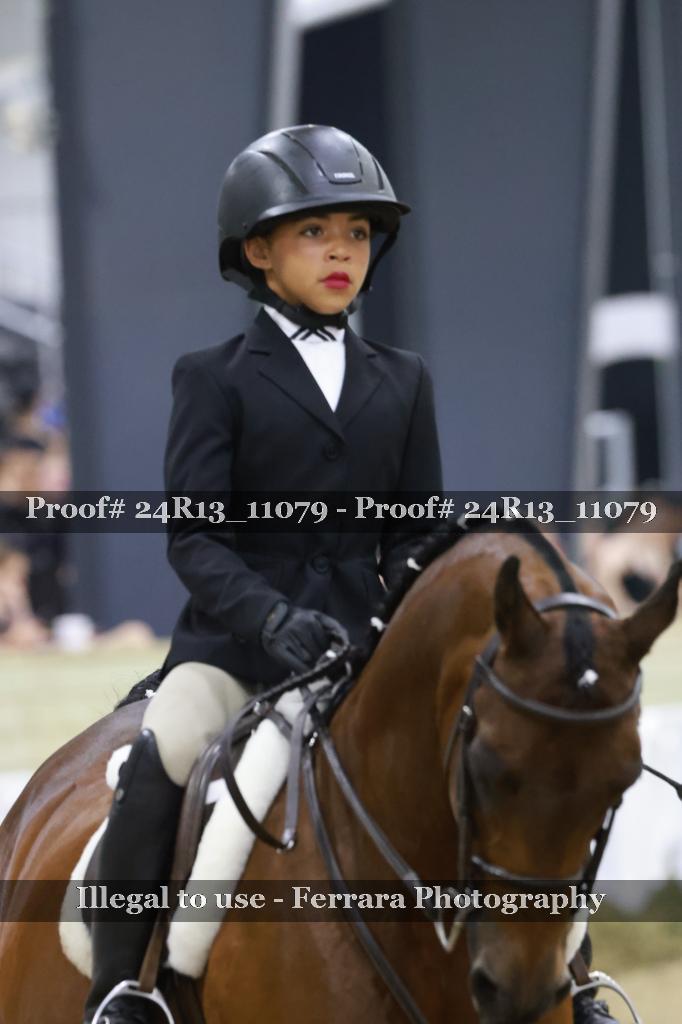 Proof 24R13_11079