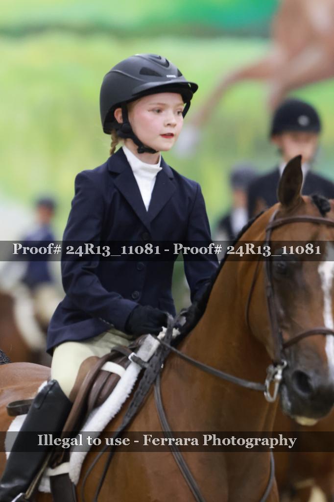 Proof 24R13_11081