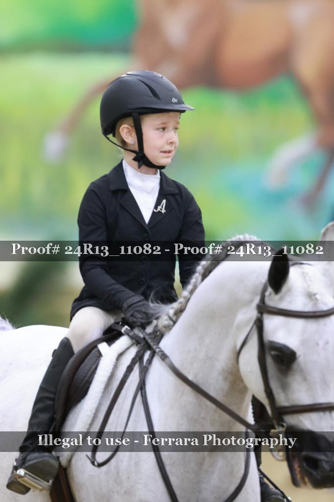 Proof 24R13_11082
