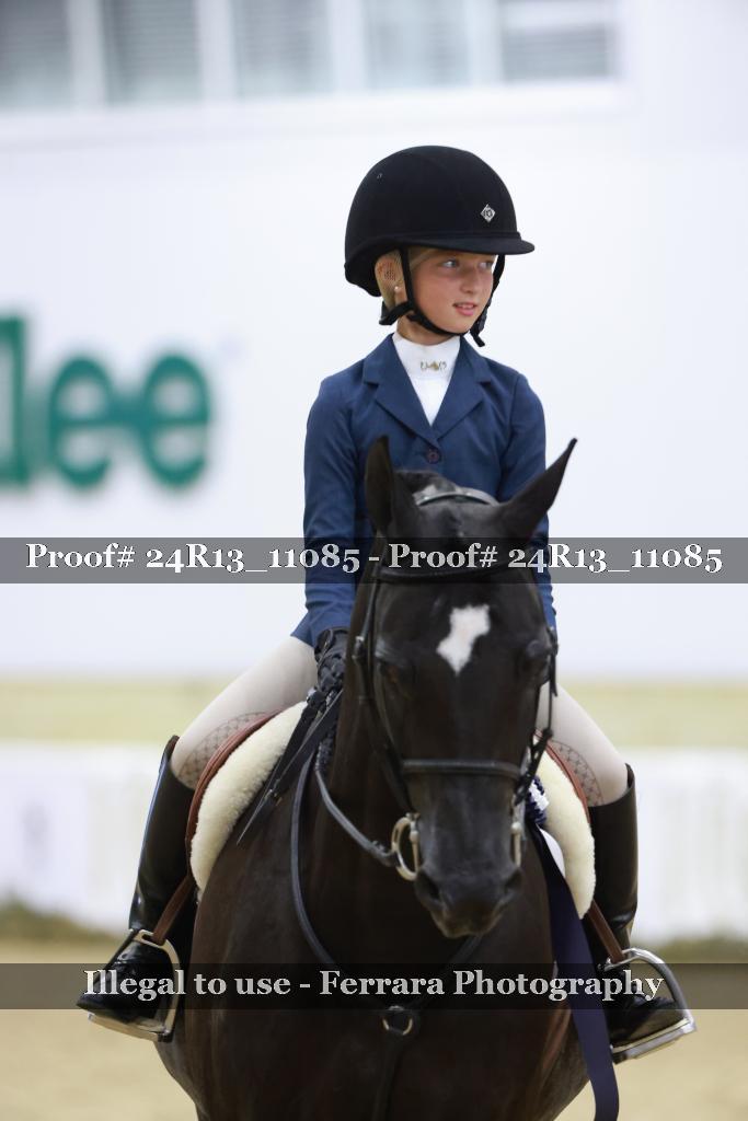 Proof 24R13_11085