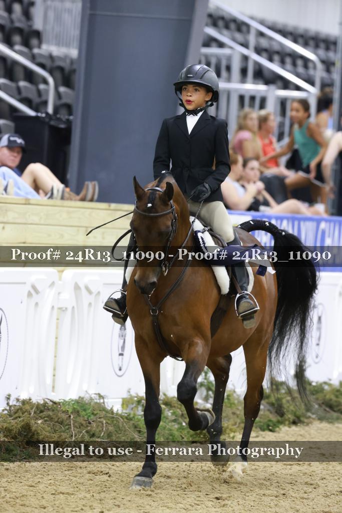 Proof 24R13_11090