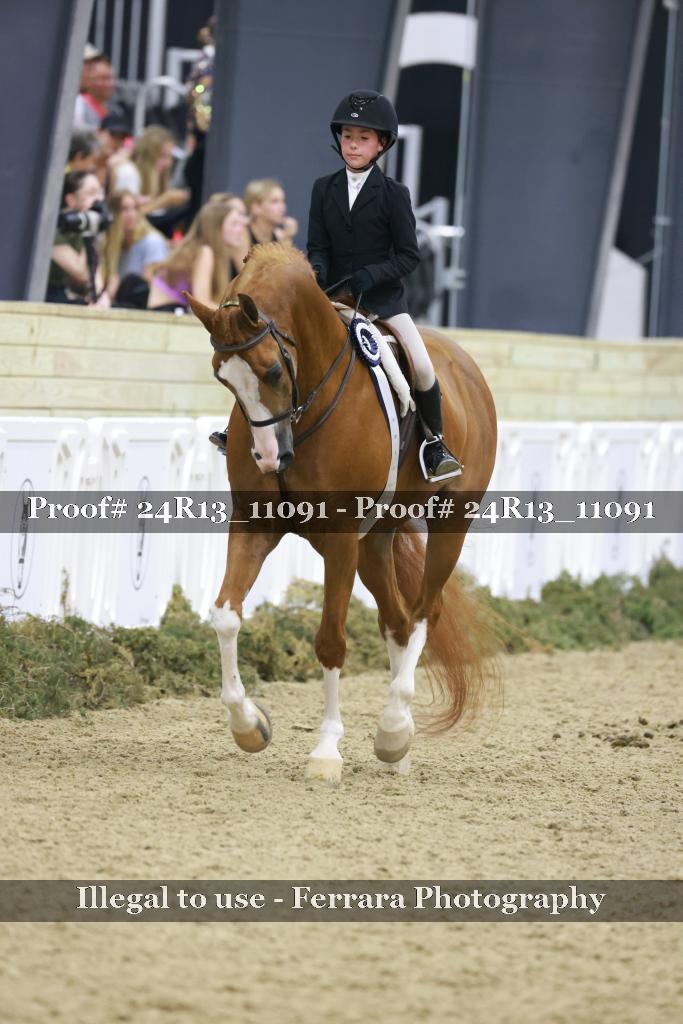 Proof 24R13_11091