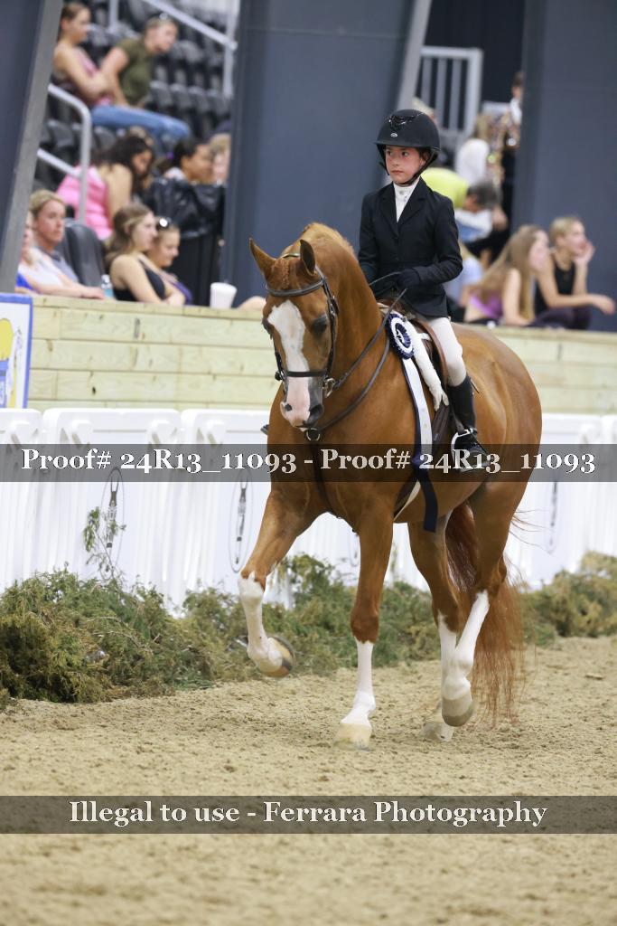 Proof 24R13_11093