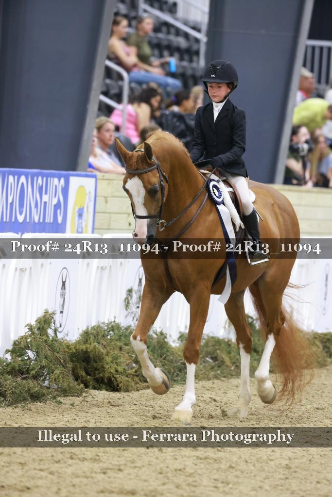 Proof 24R13_11094