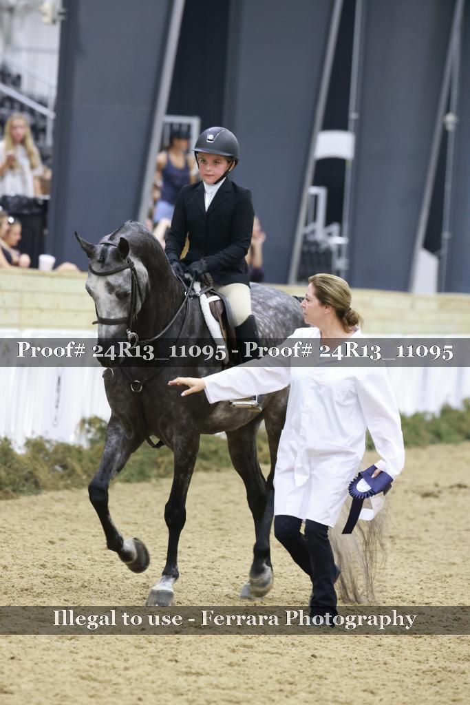 Proof 24R13_11095