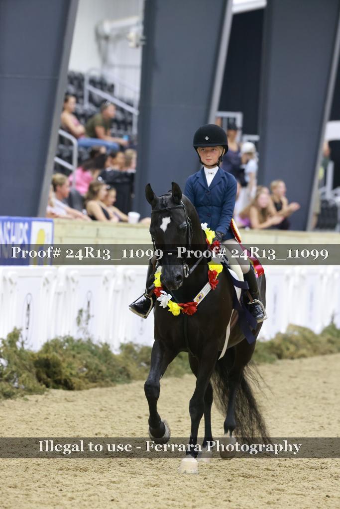 Proof 24R13_11099
