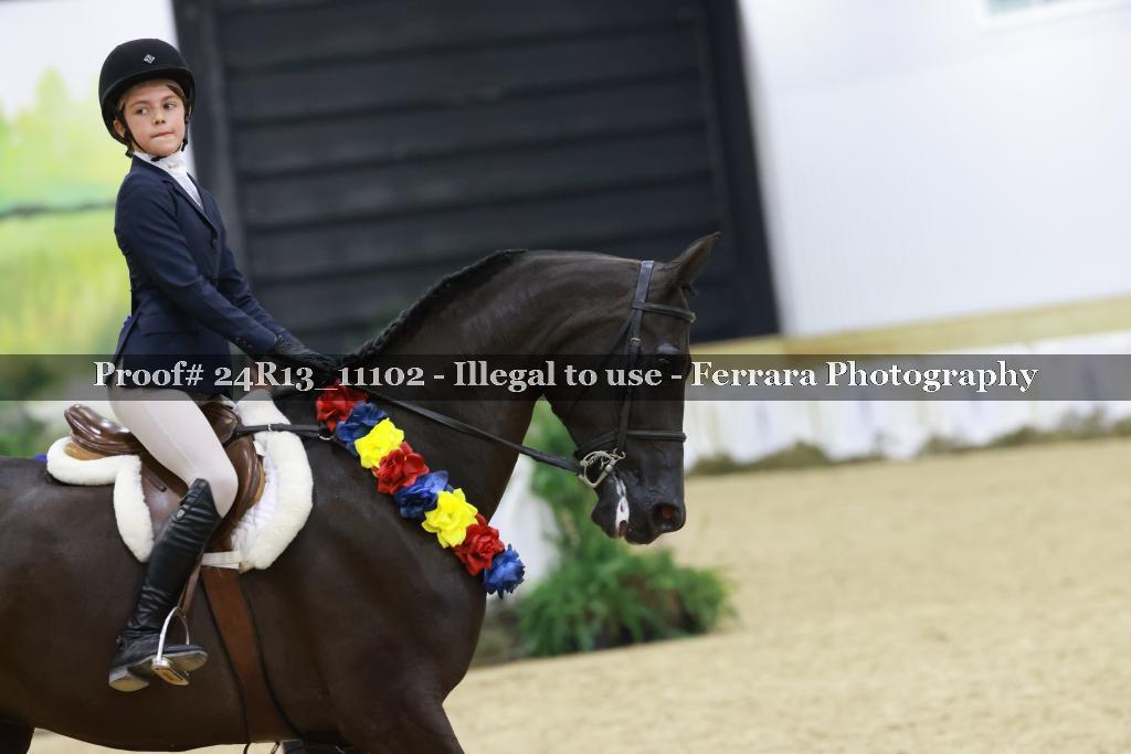 Proof 24R13_11102