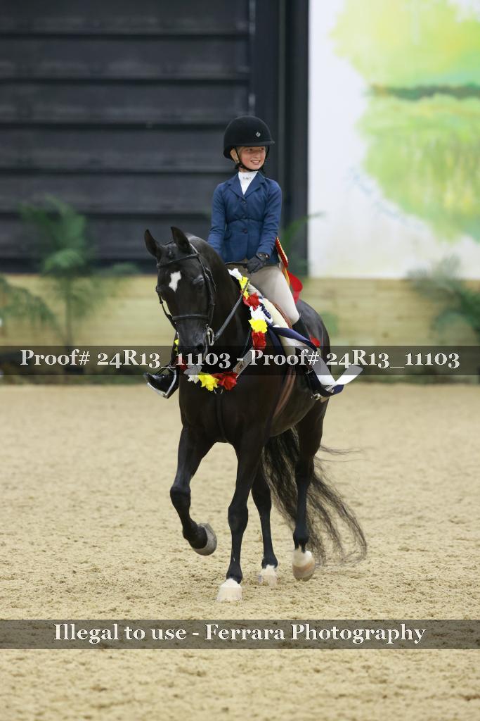 Proof 24R13_11103
