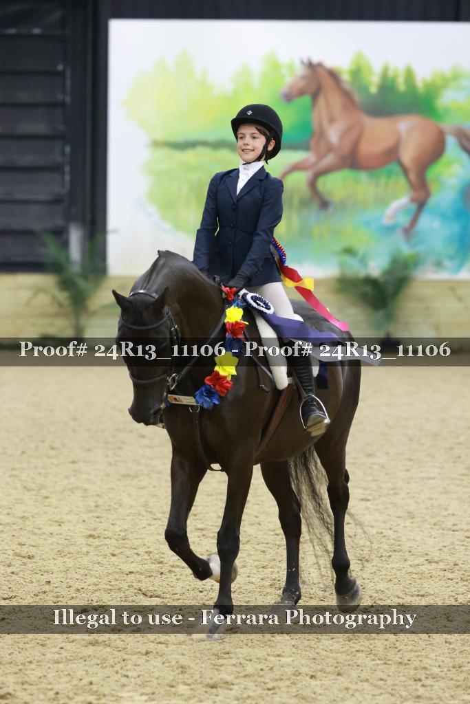 Proof 24R13_11106