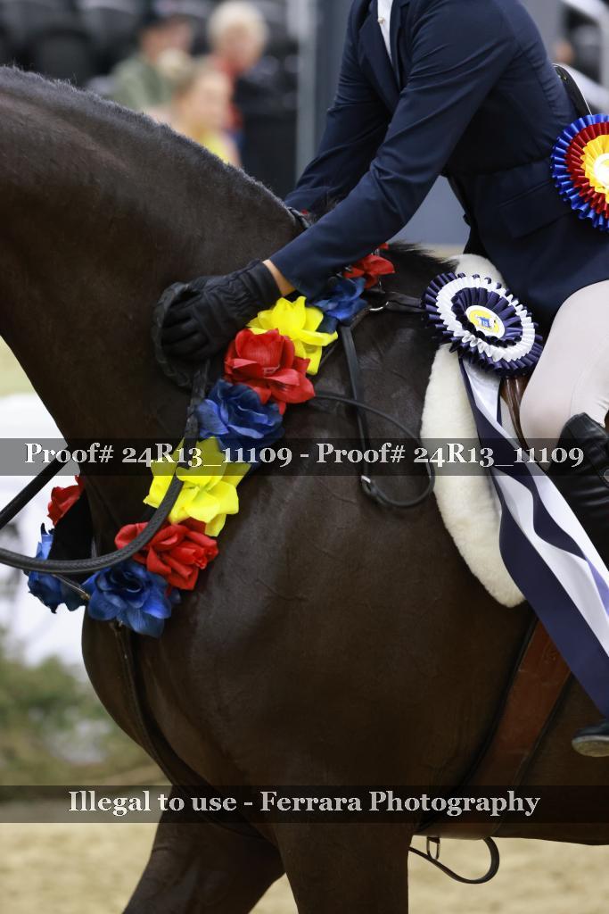 Proof 24R13_11109