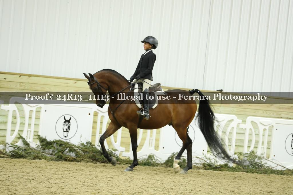 Proof 24R13_11113