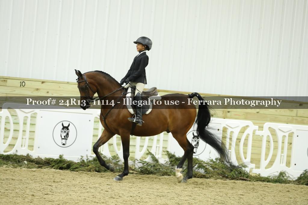 Proof 24R13_11114