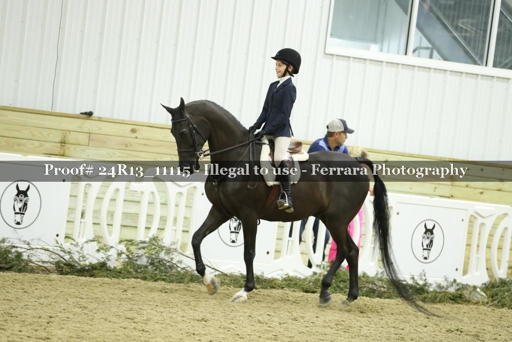 Proof 24R13_11115