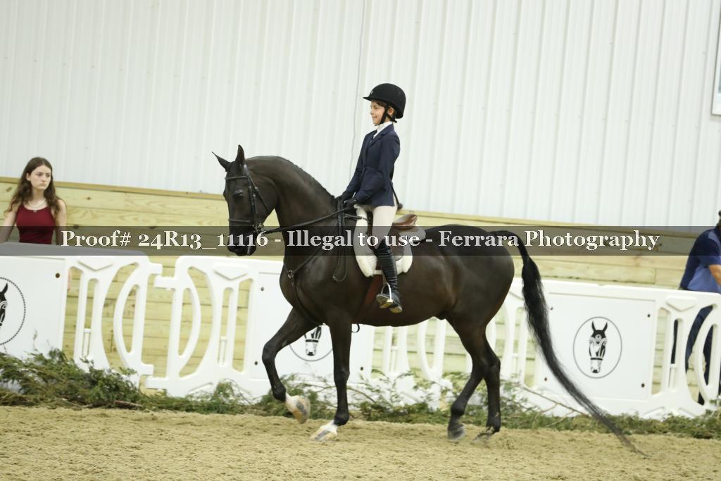 Proof 24R13_11116