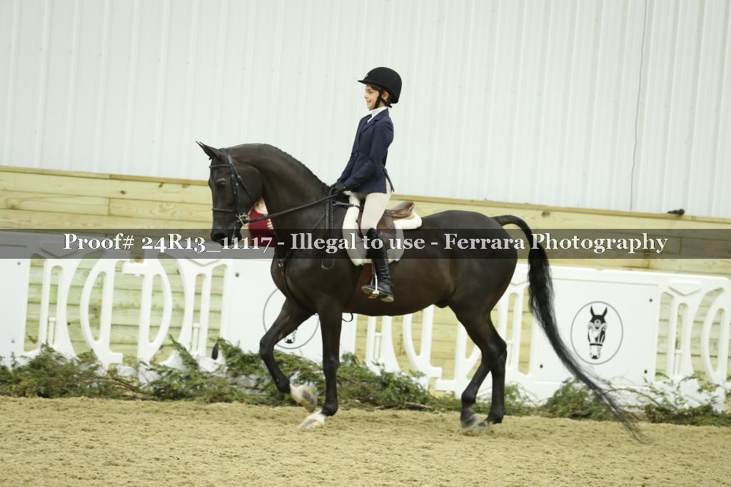 Proof 24R13_11117