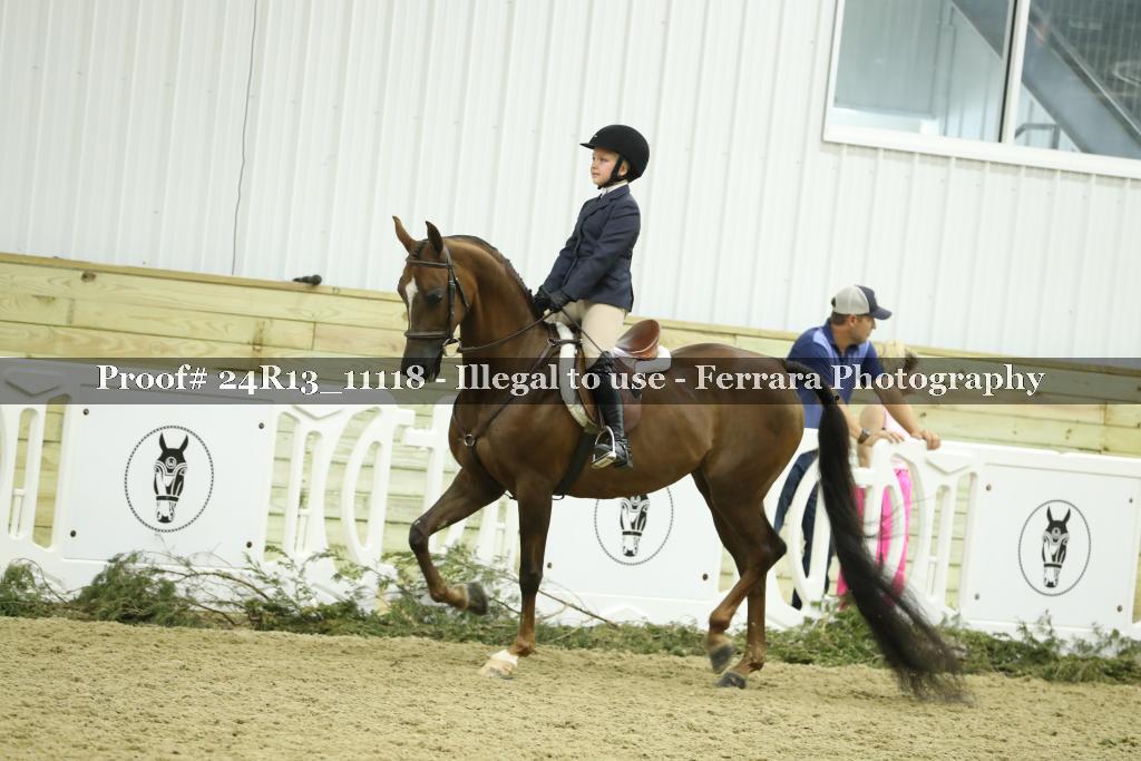 Proof 24R13_11118