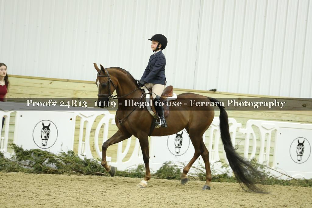 Proof 24R13_11119