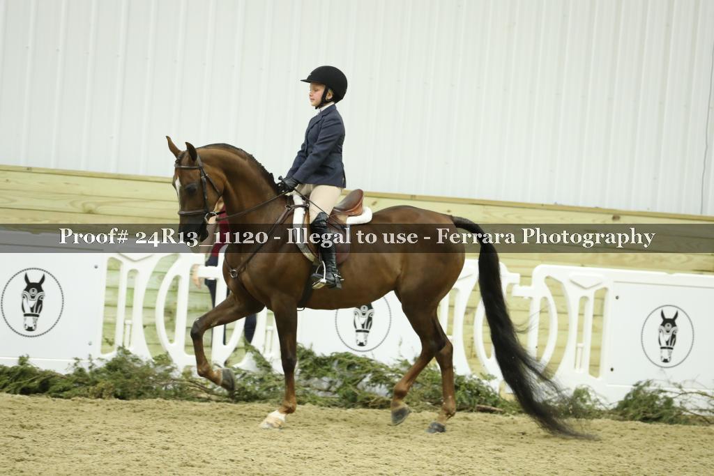Proof 24R13_11120