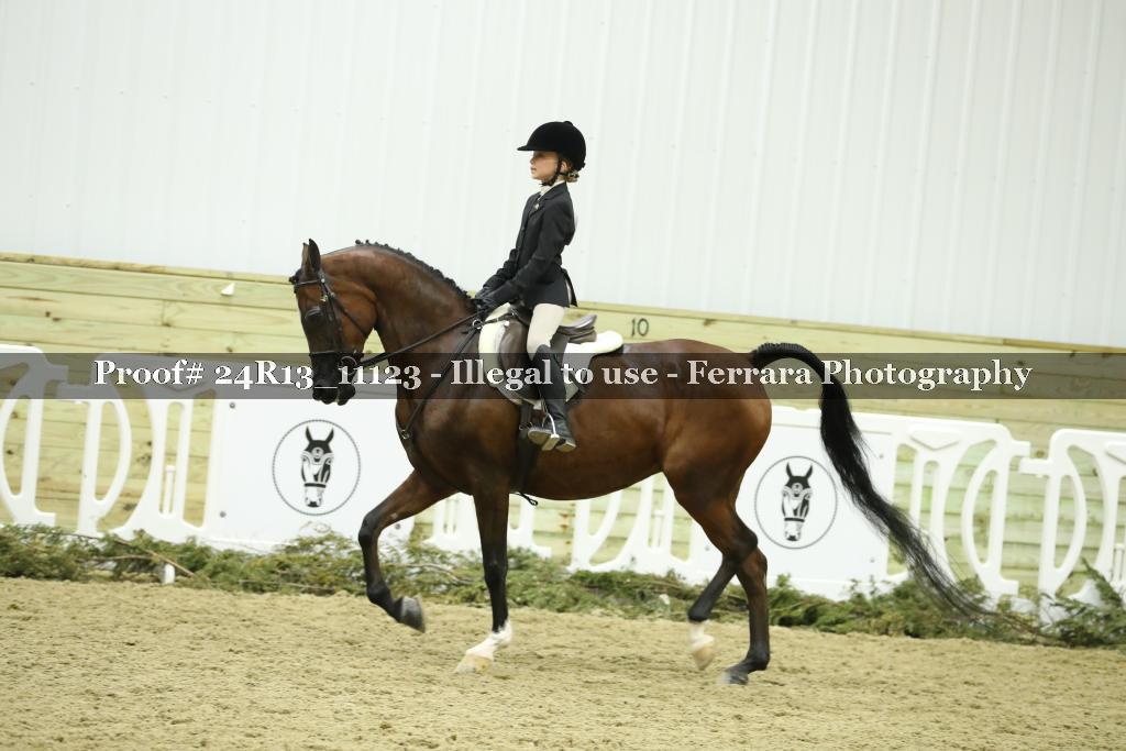 Proof 24R13_11123
