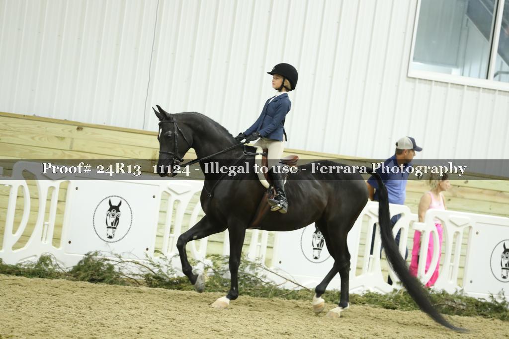 Proof 24R13_11124