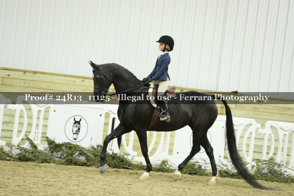 Proof 24R13_11125