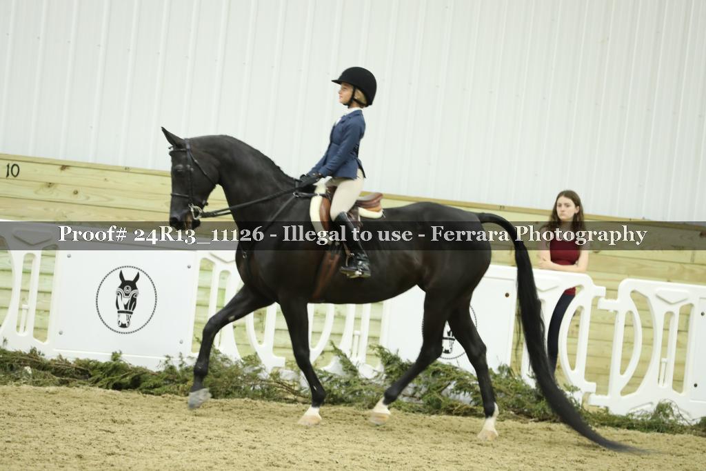Proof 24R13_11126