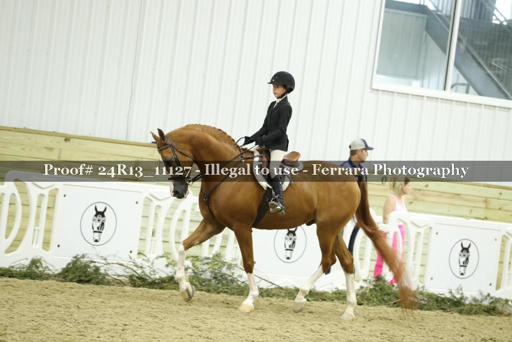 Proof 24R13_11127