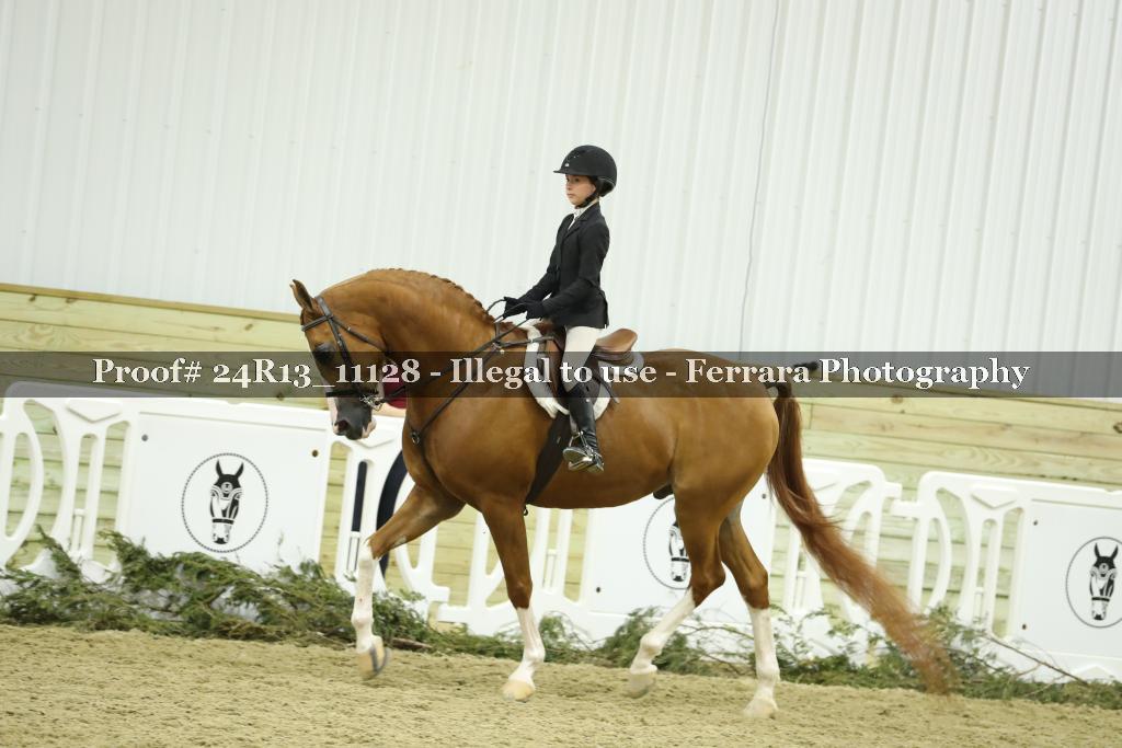 Proof 24R13_11128