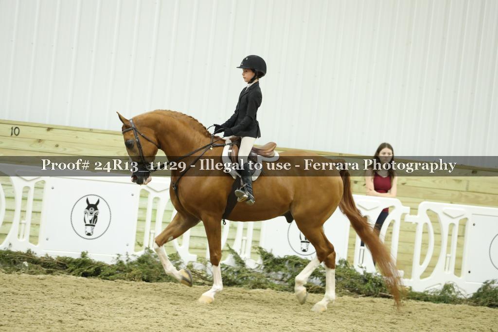 Proof 24R13_11129