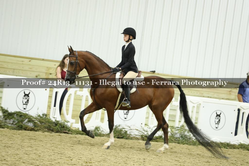 Proof 24R13_11131