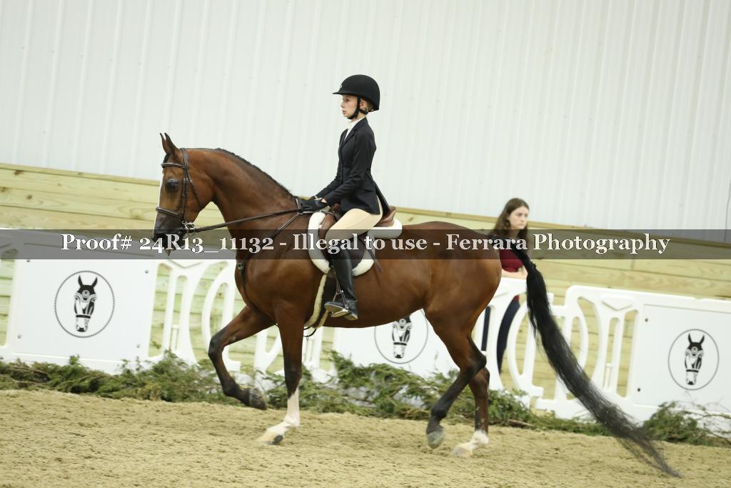 Proof 24R13_11132