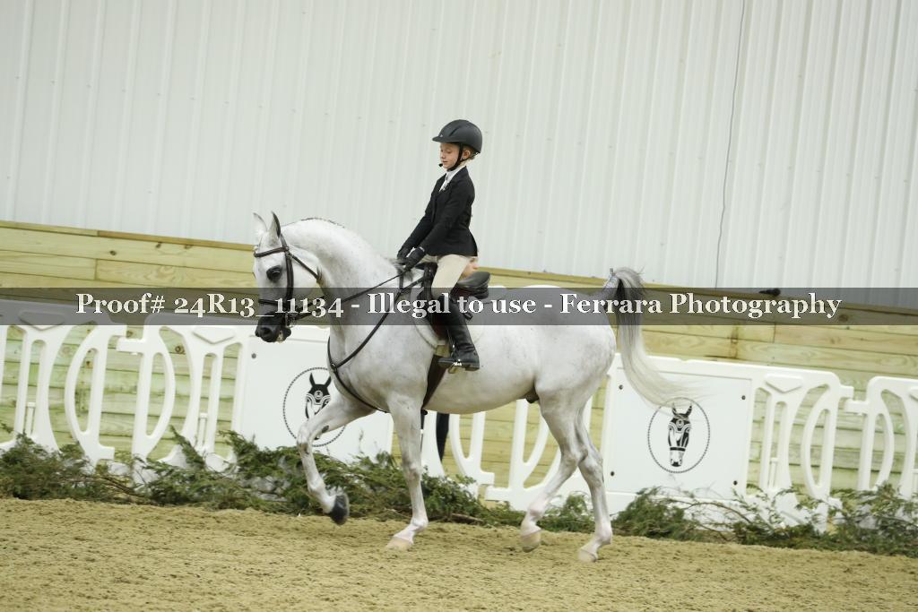Proof 24R13_11134