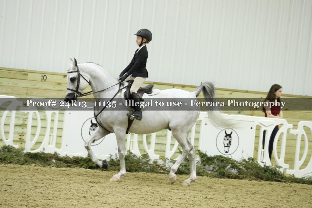 Proof 24R13_11135