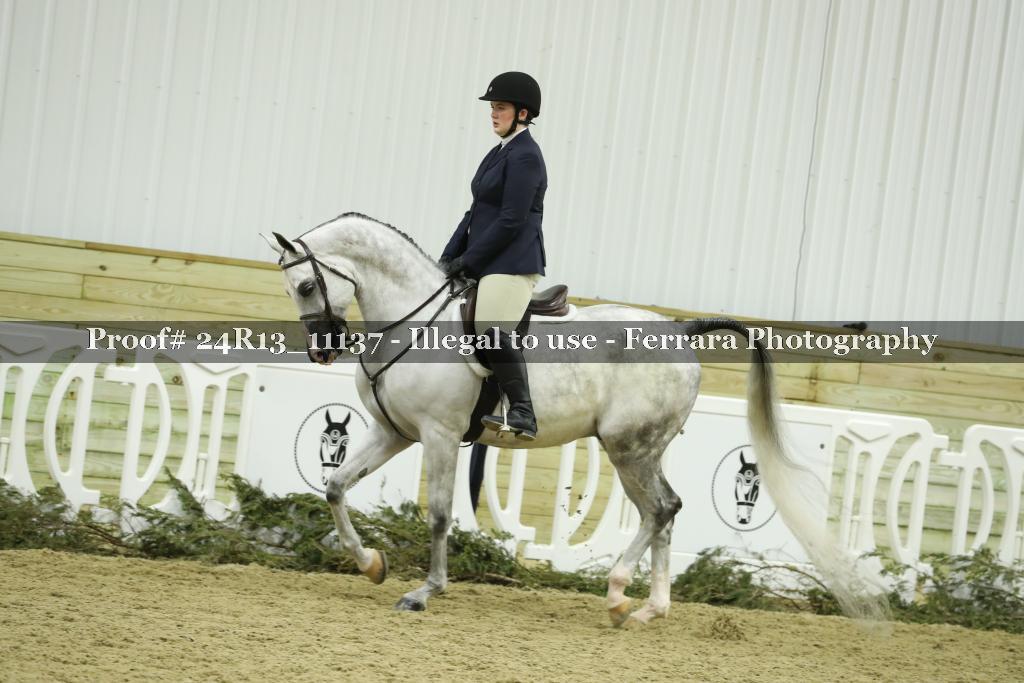 Proof 24R13_11137