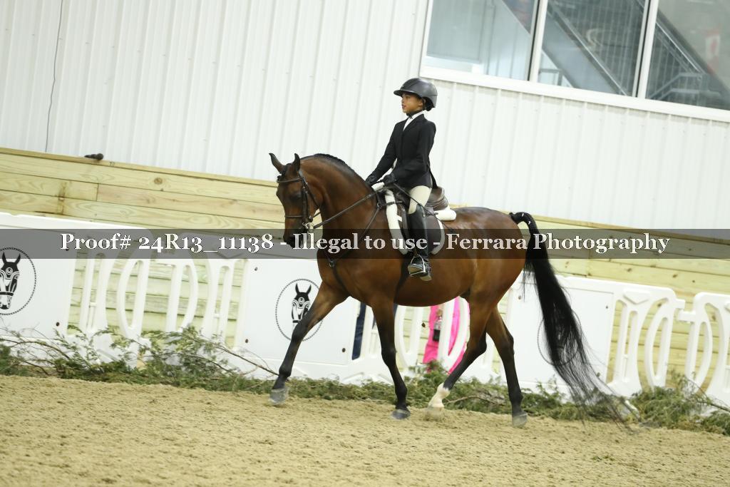 Proof 24R13_11138
