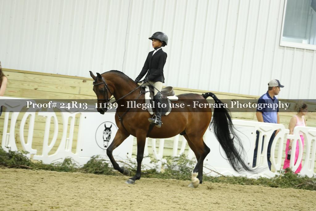 Proof 24R13_11139