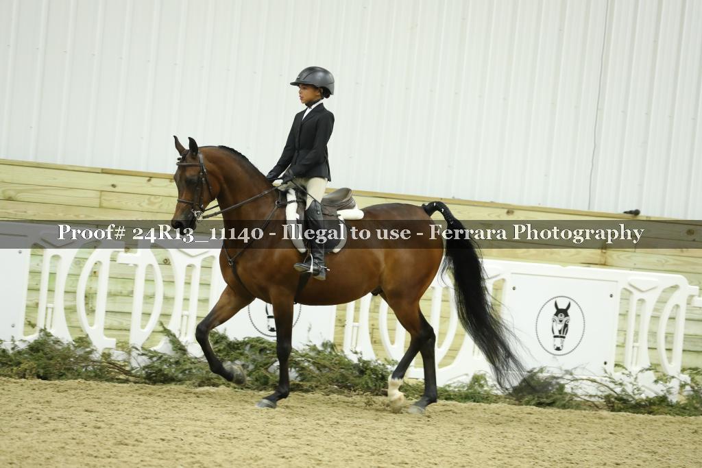 Proof 24R13_11140