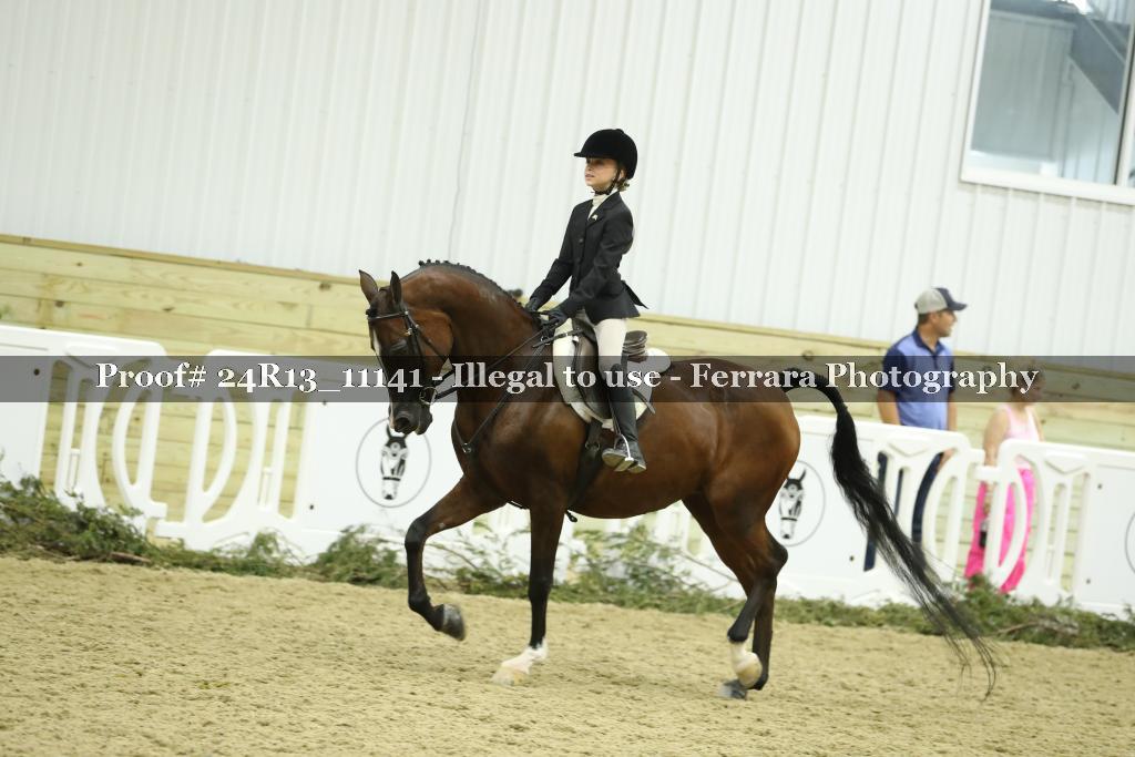 Proof 24R13_11141