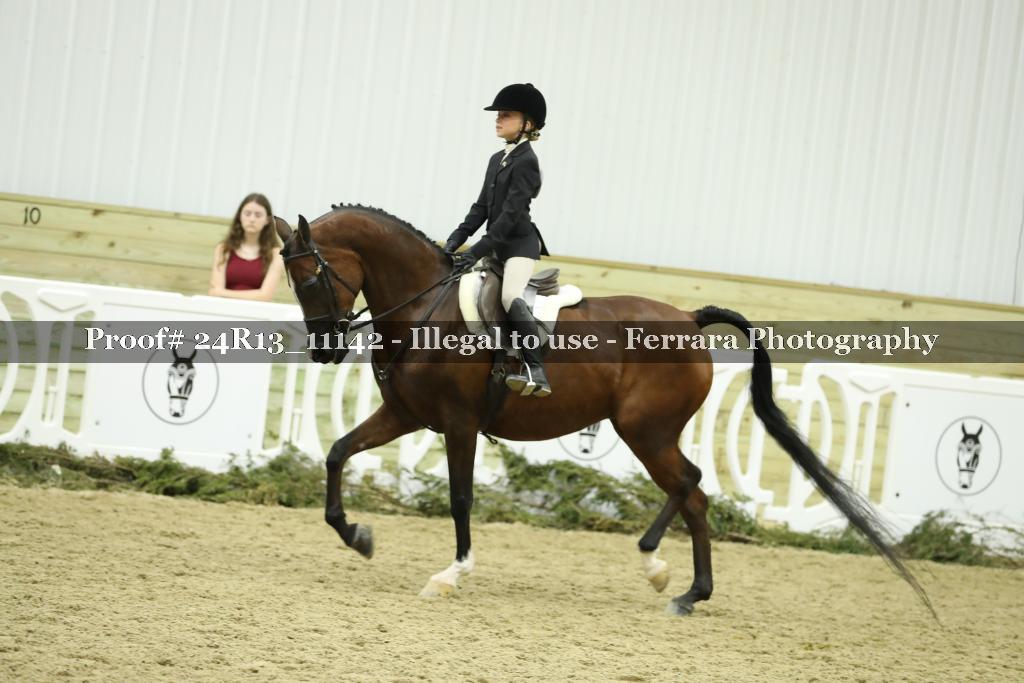 Proof 24R13_11142