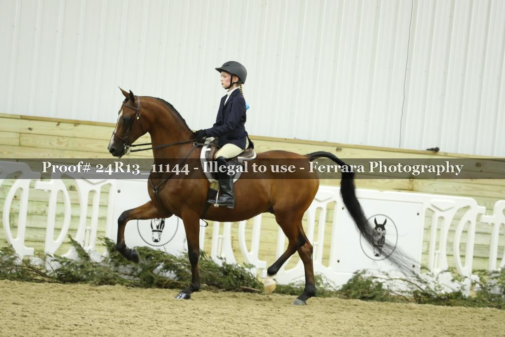Proof 24R13_11144