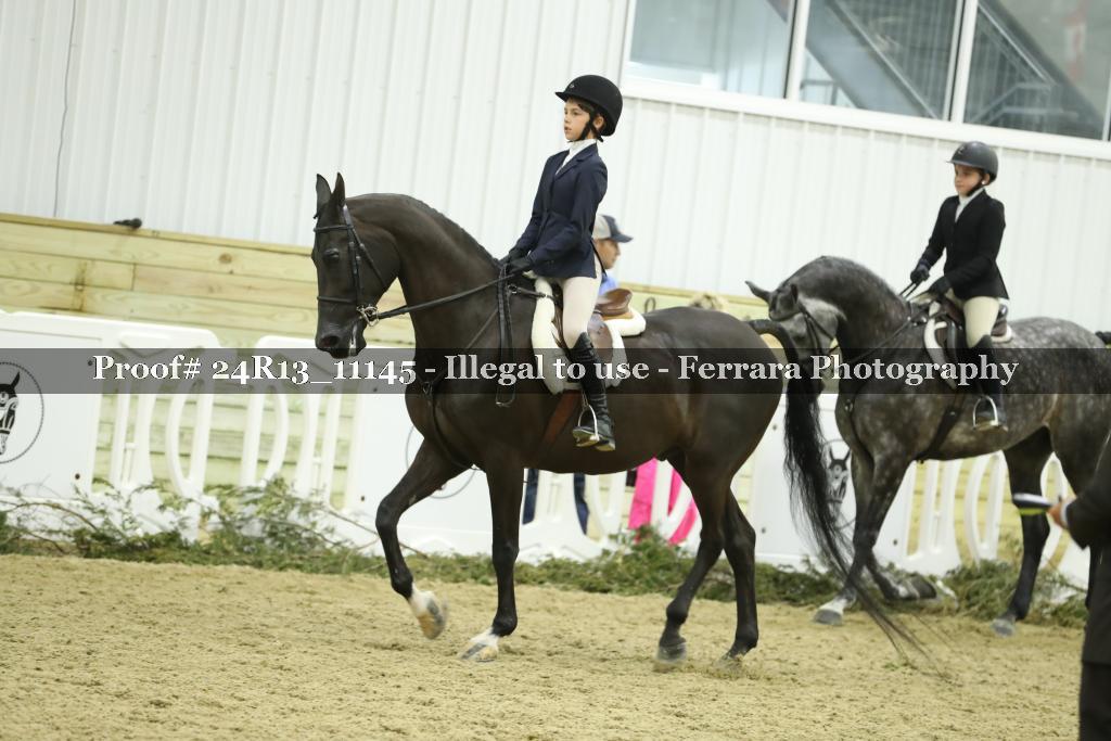 Proof 24R13_11145