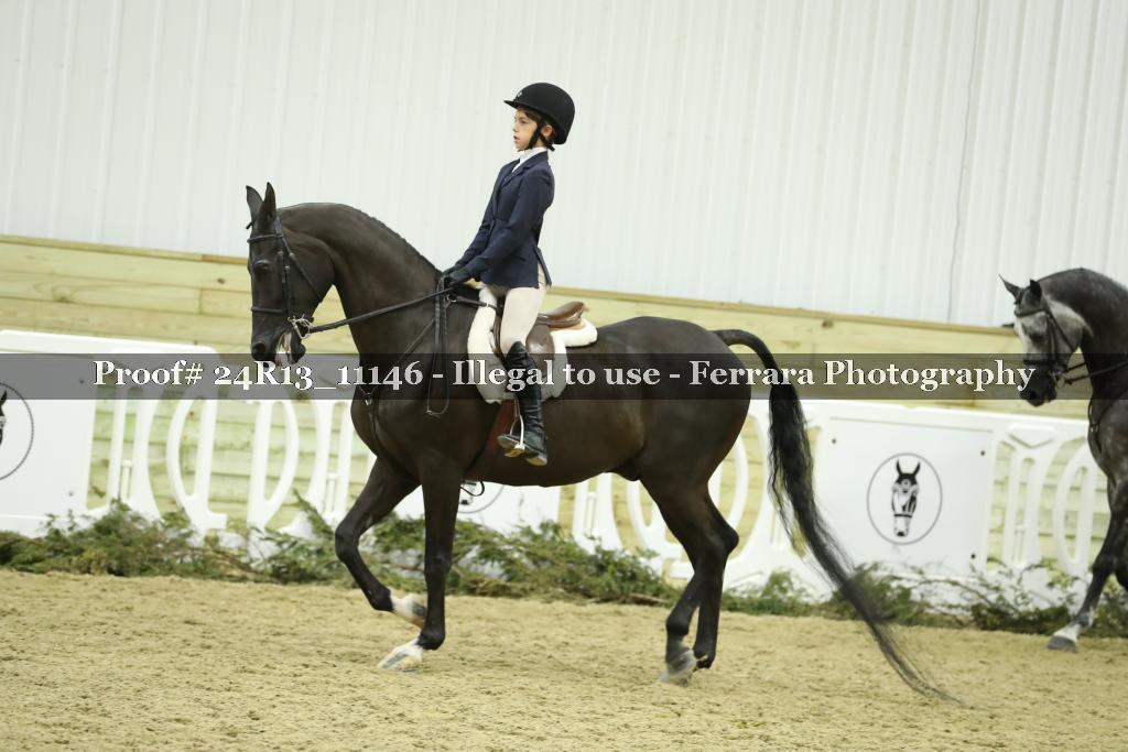 Proof 24R13_11146