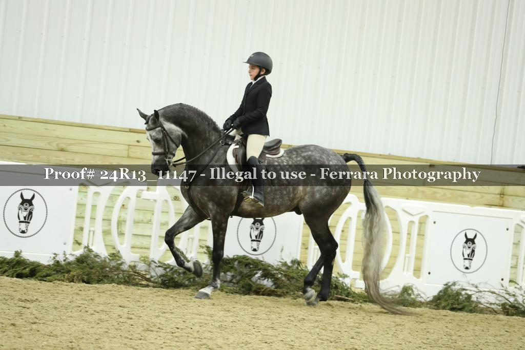 Proof 24R13_11147