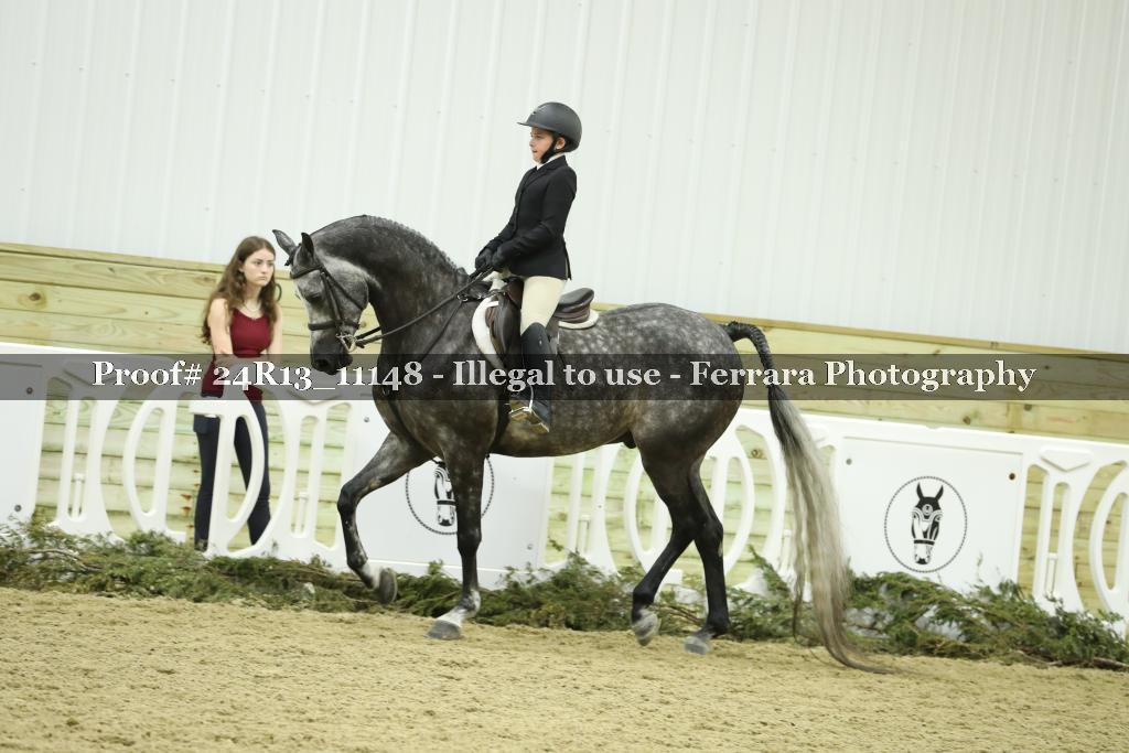 Proof 24R13_11148