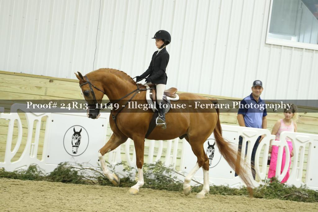 Proof 24R13_11149