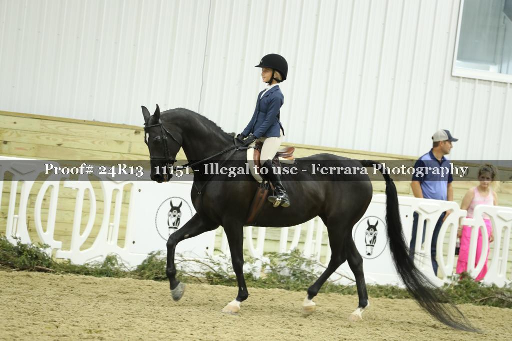 Proof 24R13_11151