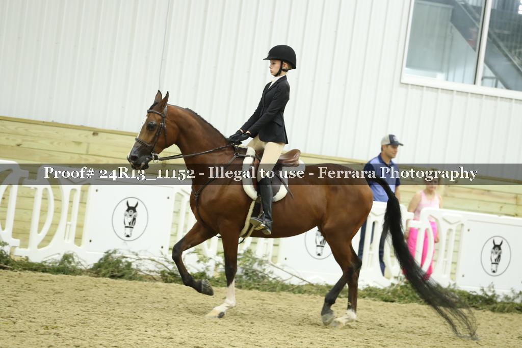 Proof 24R13_11152