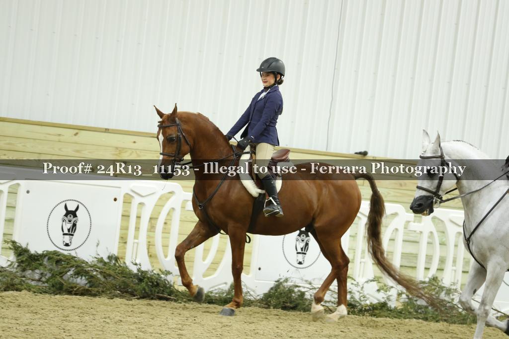 Proof 24R13_11153